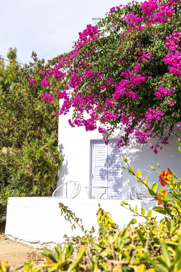 Akrotiri Hotel Parikia  Luaran gambar